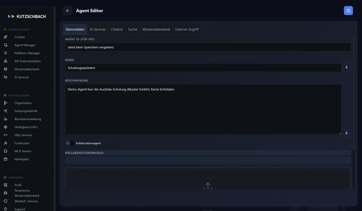Echte AuxData-Agent-Editor-Ansicht (Demo-Instanz): Reiter Stammdaten mit Agent-ID, Name, Beschreibung, Kollaborationsagent und Agentenbild-Upload