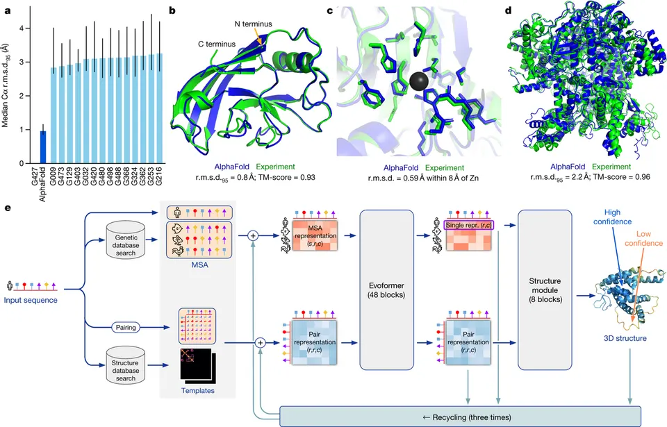 Paper-Abbildung mit Balkendiagramm, drei Proteinstrukturen in Blau und Grün übereinandergelegt und einem Ablaufschema von der Eingabesequenz zur 3D-Struktur